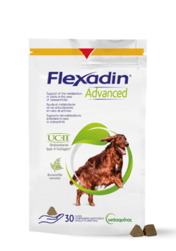 Flexadin Advanced 30 kęsów dla psa