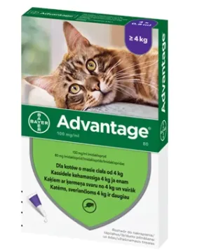 BAYER ADVANTAGE dla kota powyżej 4kg