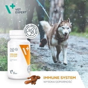 VET EXPERT Immune System 30 kapsułek odporność - obrazek 2