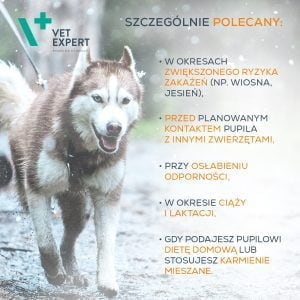 VET EXPERT Immune System 30 kapsułek odporność - obrazek 4