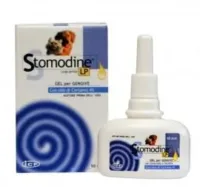 GEULINCX Stomodine LP