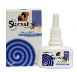 GEULINCX Stomodine LP