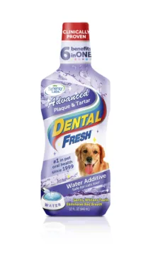 DENTAL FRESH Kamień & osad 237 ml
