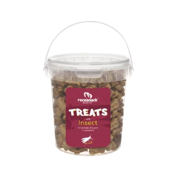 RECOSNACK Treats with insect 500g