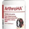 DOLFOS ArthroHA 60 tabletek wsparcie stawów