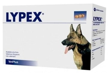 VETPLUS Lypex 60 kapsułek wsparcie trzustki psa i kota