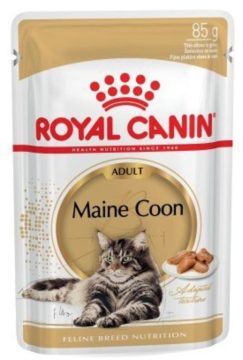 ROYAL CANIN Maine Coon dla dorosłych kotów 85 g saszetka