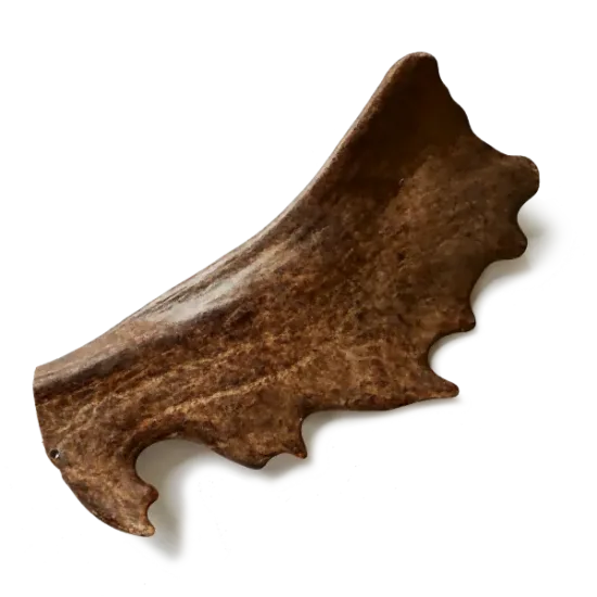 fallow deer antler/ gryzak z poroża daniela m