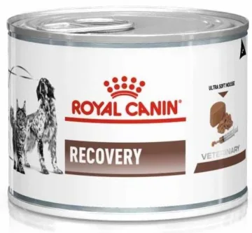 ROYAL CANIN Recovery Mousse