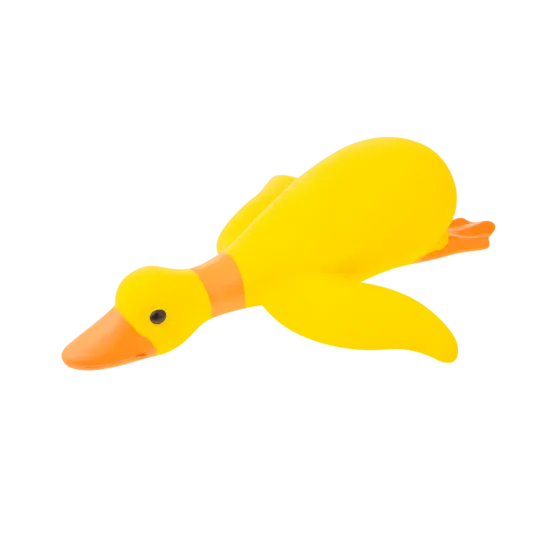 RECOFUN droll duck