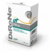 GEULINCX DiReNe