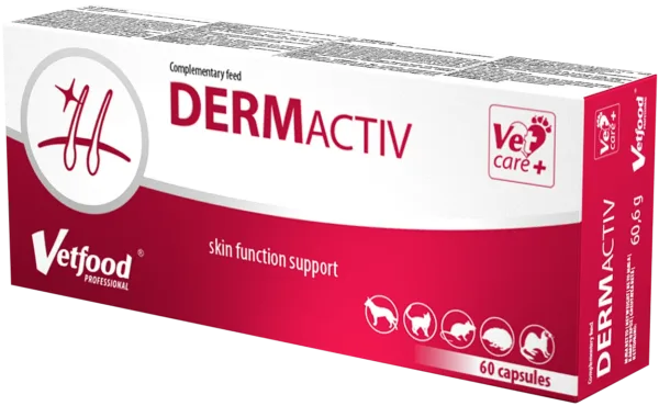 VETFOOD DERMActiv 60 tabletek