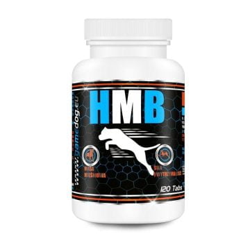 GAMEDOG HMB 120 tabletek na masę mięśniową