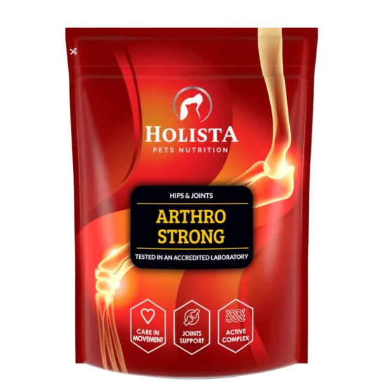 HOLISTA Arthro Strong suplement na stawy dla psów 600g