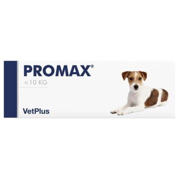VETPLUS Promax małe rasy i koty pasta 9ml układ pokarmowy