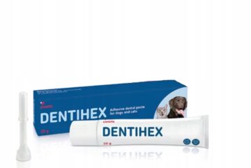 DENTIHEX Adhezyjna pasta do zębów dla psów i kotów 20g