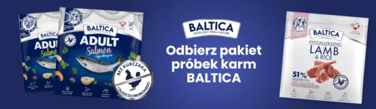 Aktualne promocje