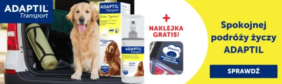 Aktualne promocje