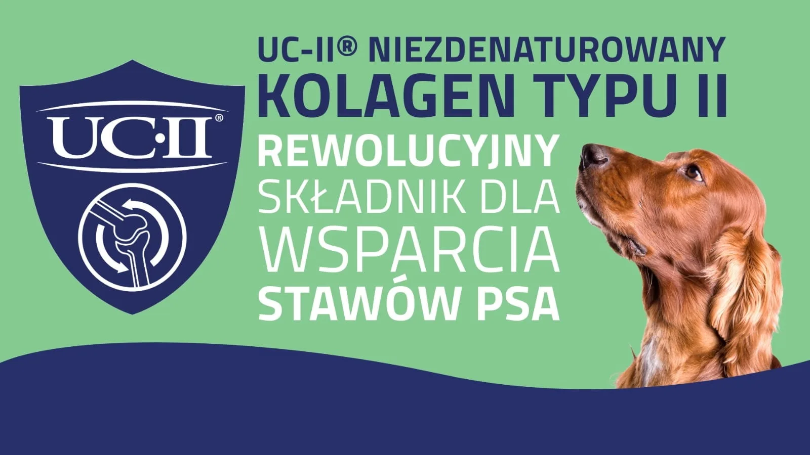 Kolagen dla psa – Flexadin – Klucz do zdrowych stawów