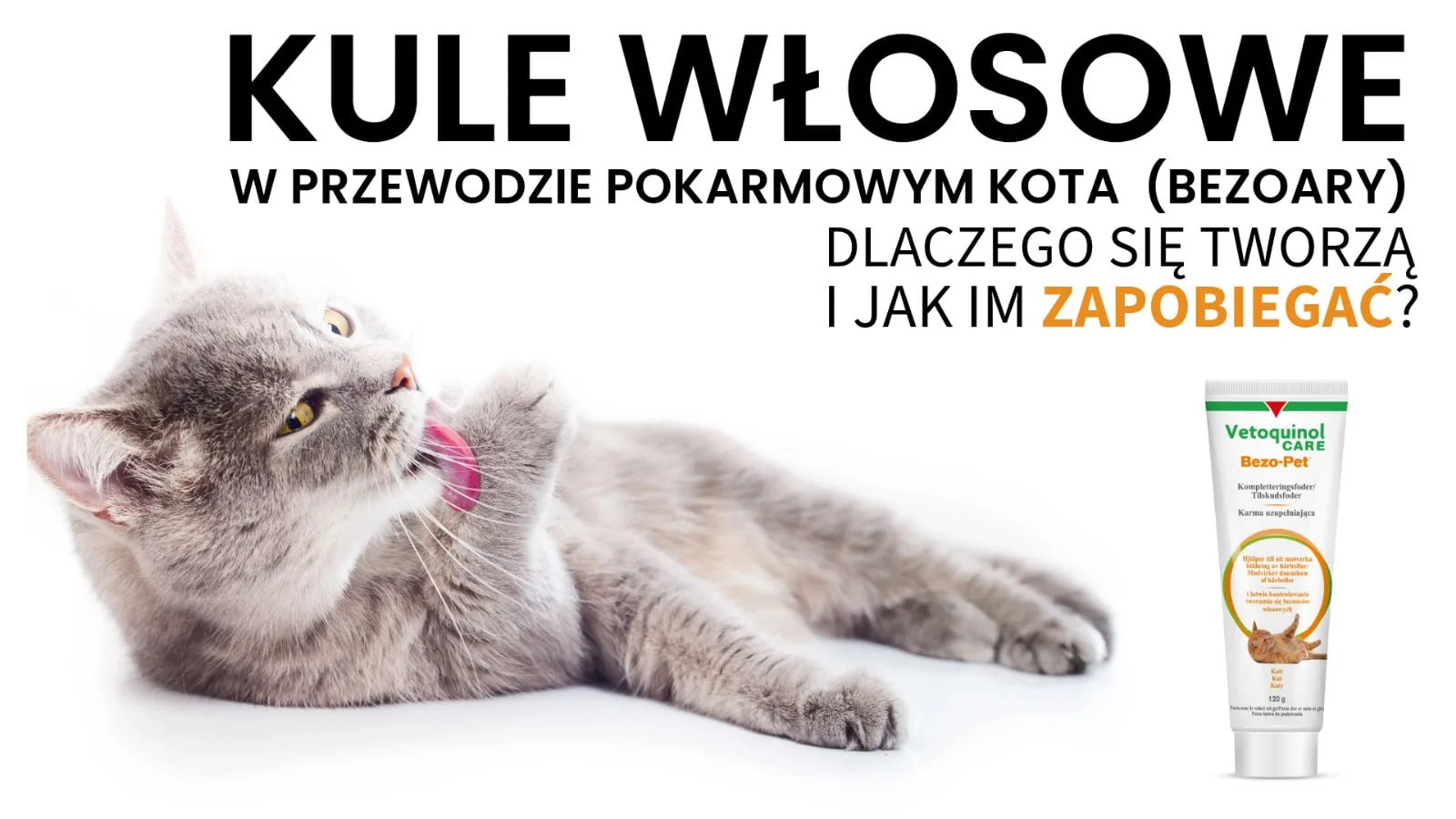 Tworzenie się kul włosowych u kotów Bezo_pet