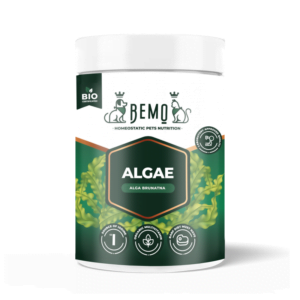 BEMO Algae 120g