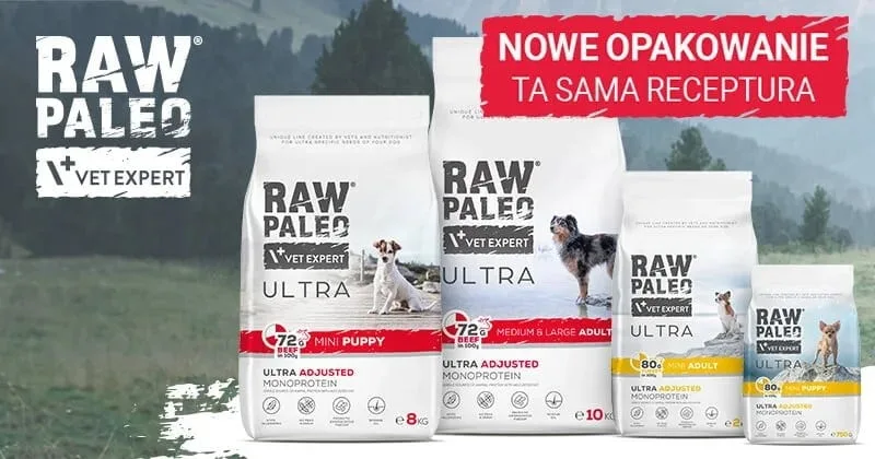 Raw Paleo