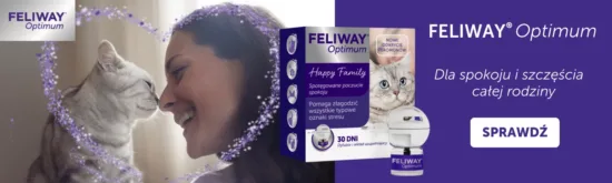 Aktualne promocje