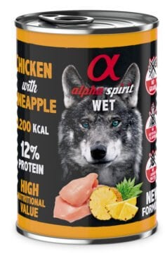 ALPHA SPIRIT Chicken with pineapple