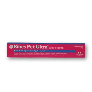 NBF Lanes Ribes Pet Ultra