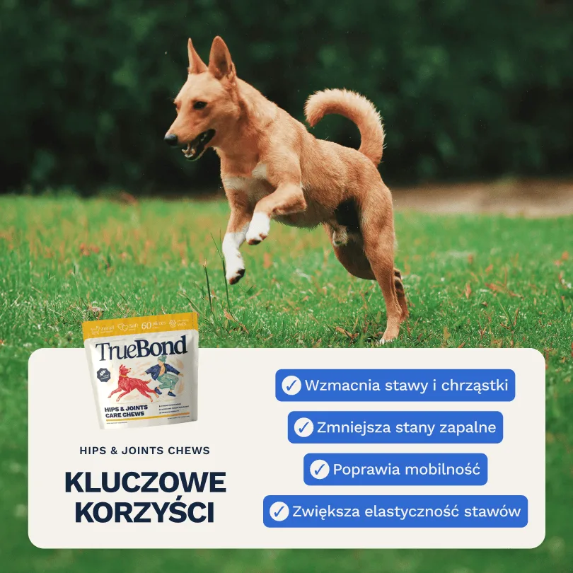 TRUEBOND Hips & Joints Care Chews suplement dla psa