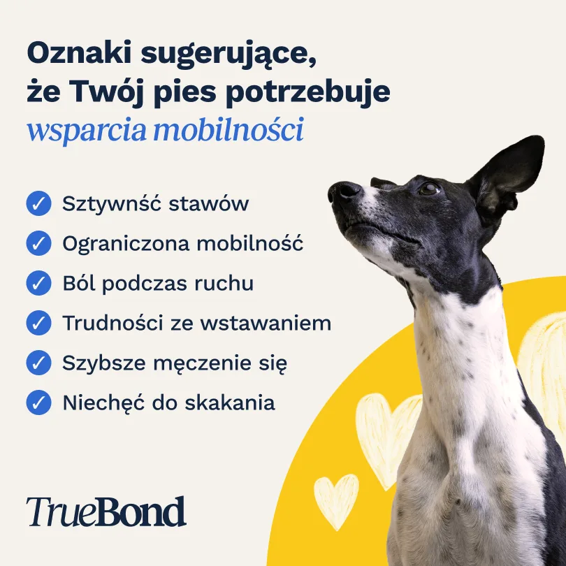 TRUEBOND Hips & Joints Care Chews suplement dla psa