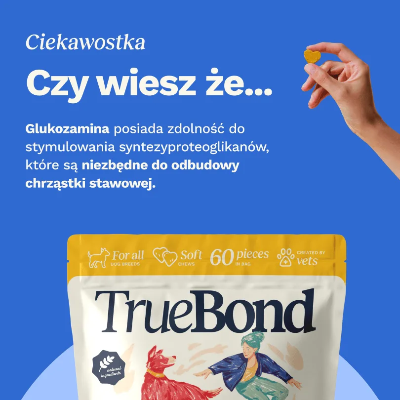 TRUEBOND Hips & Joints Care Chews suplement dla psa