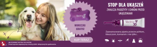 Aktualne promocje