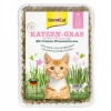 GIMCAT Katzengras trawa dla kotów