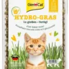 GIMCAT Hydro Gras trawa dla kotów
