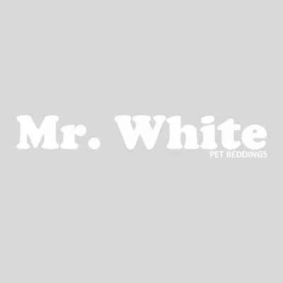 MR. WHITE