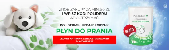 Aktualne promocje