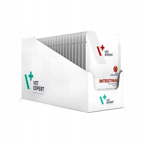 VET EXPERT 4t VD Intestinal Cat 12x100g