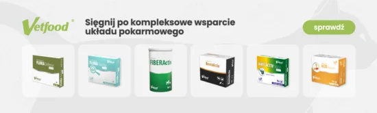 Strona główna