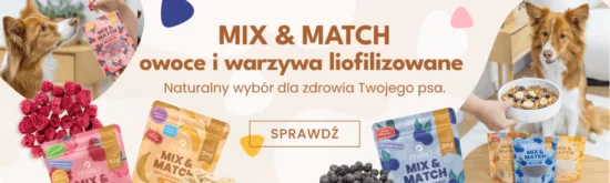 Strona główna