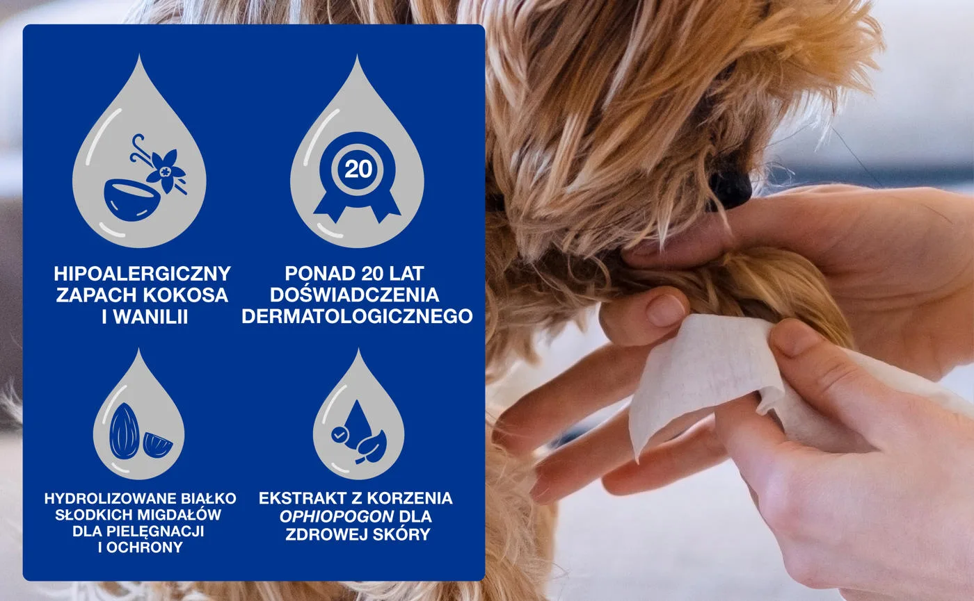 DOUXO Skin & Coat SPA Wipes