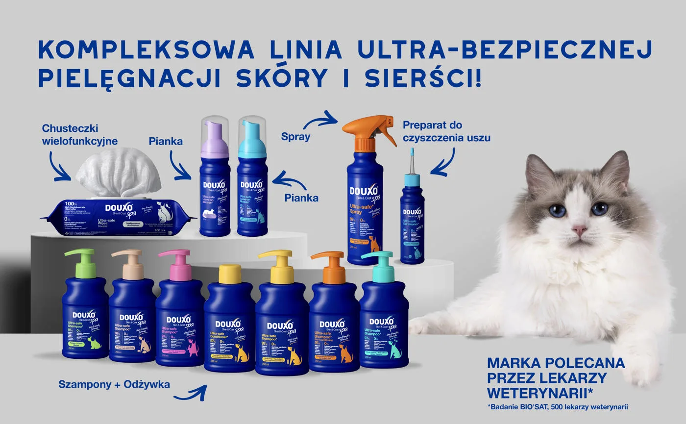 DOUXO Skin & Coat SPA Wipes