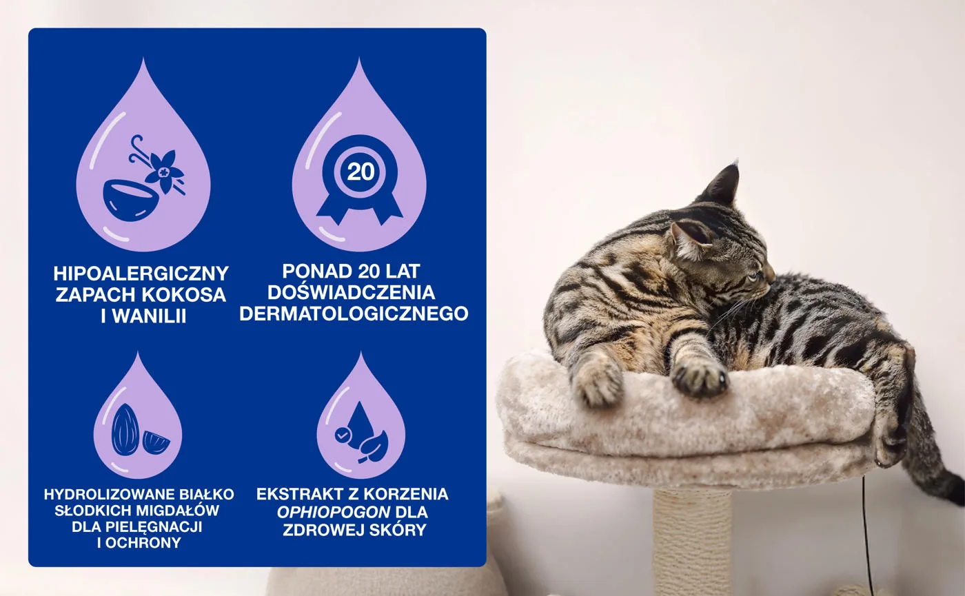 DOUXO Skin & Coat SPA Cat Mousse