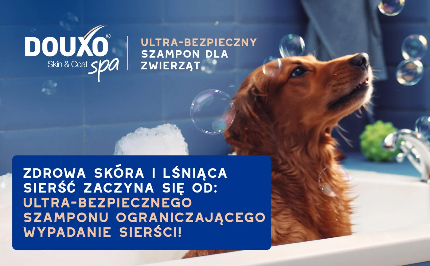 DOUXO Skin & Coat SPA Shed Control