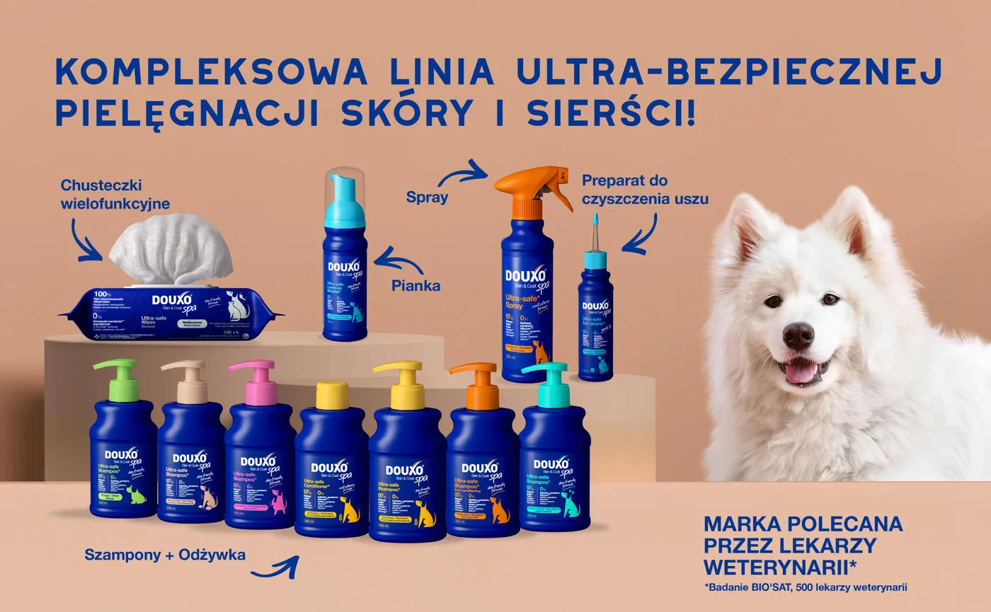 szampon dla psa