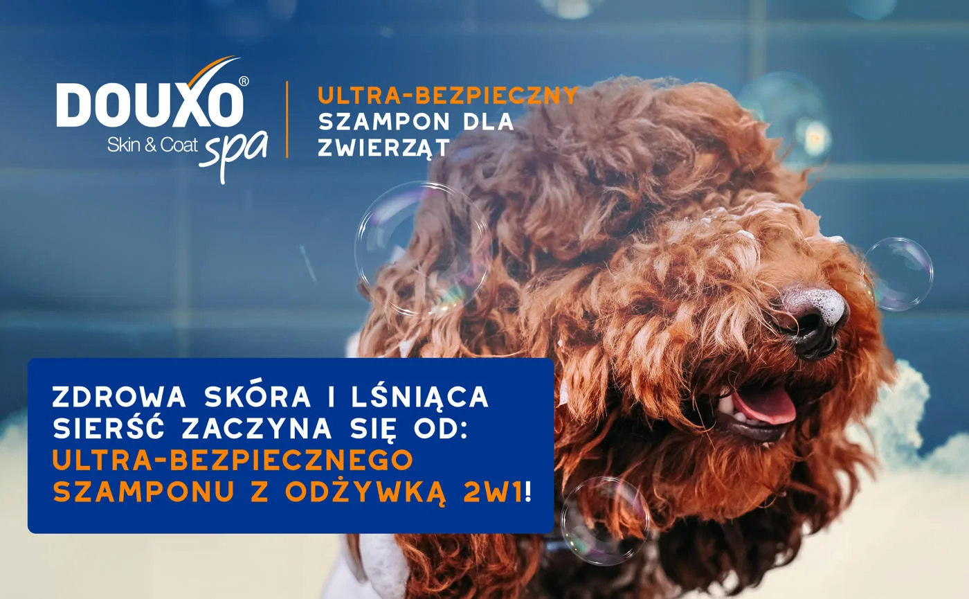 DOUXO Skin & Coat SPA 2in1 Detangling 250ml ultrabezpieczny szampon 2w1 z odżywką dla psów