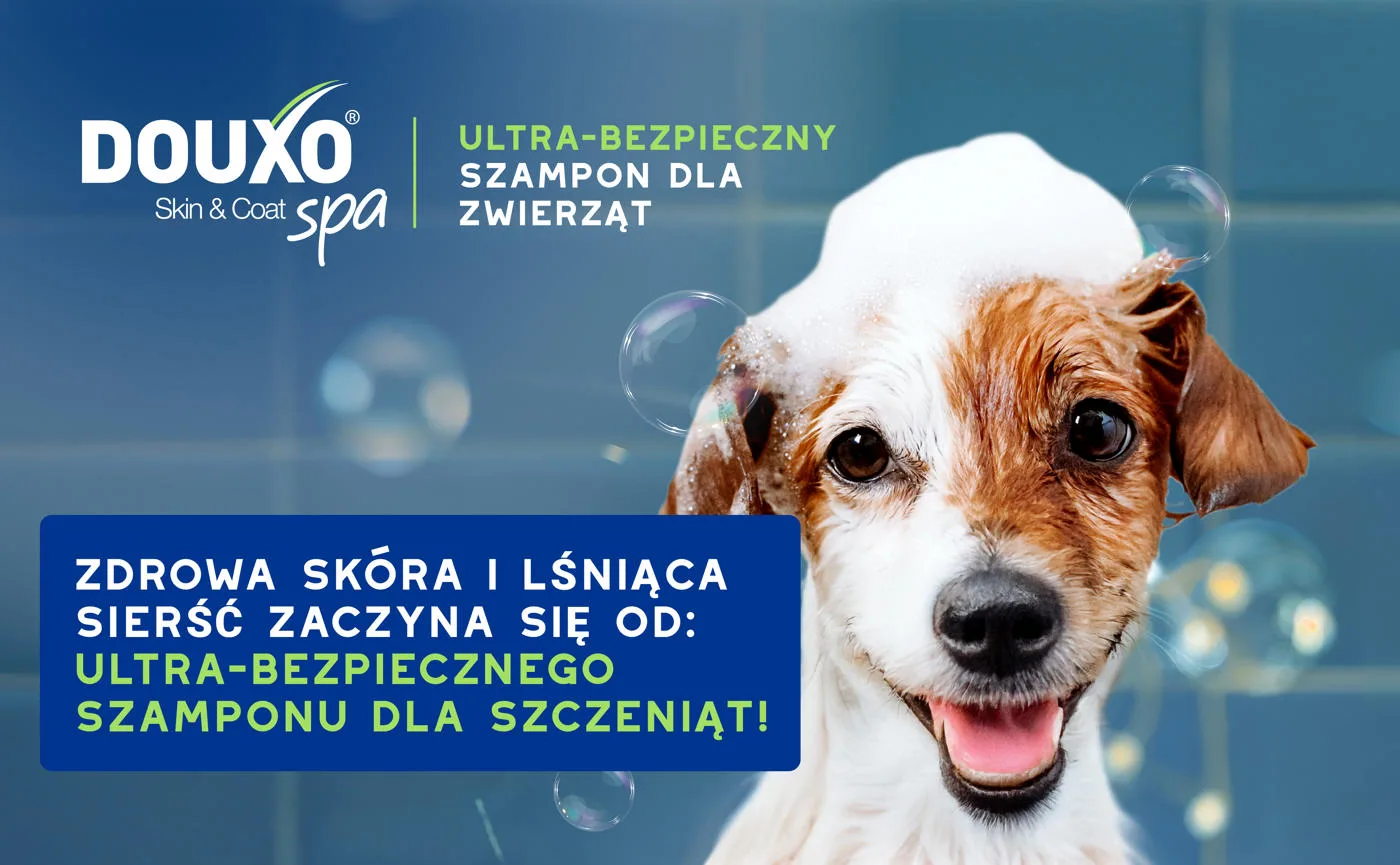 DOUXO Skin & Coat SPA Puppy
