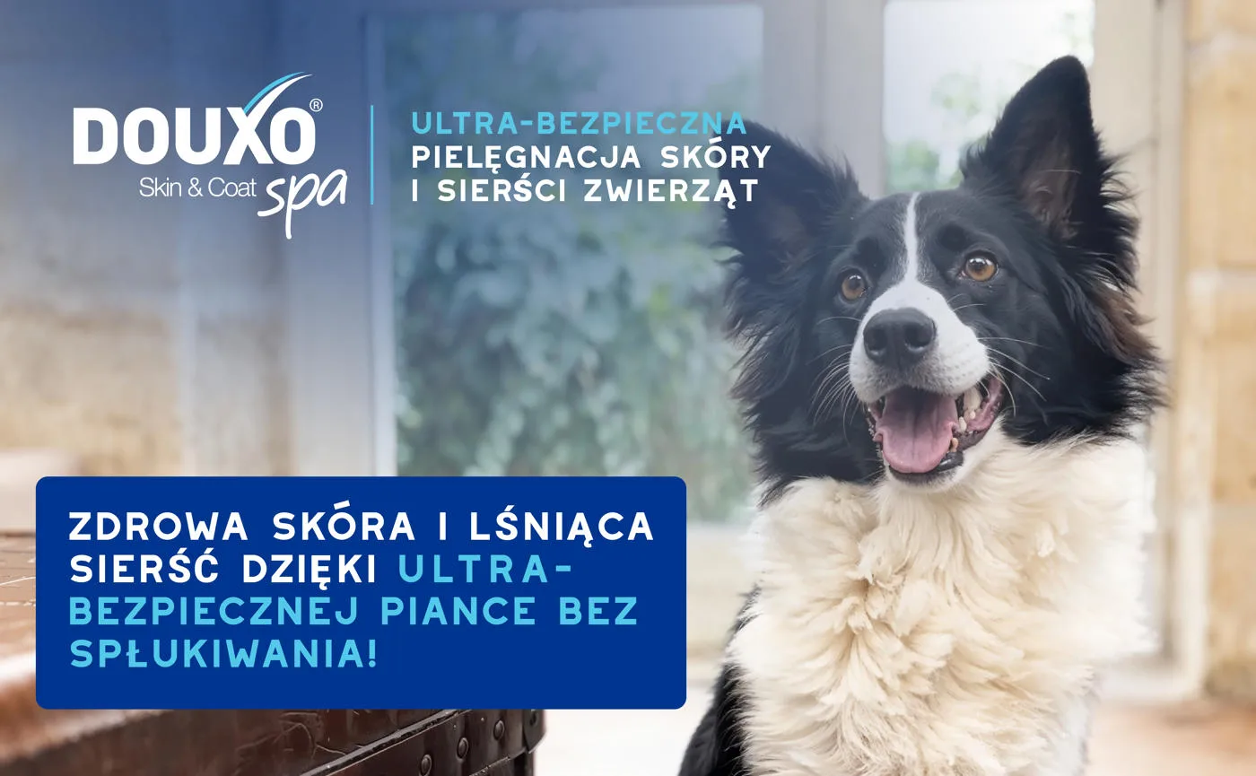 DOUXO Skin & Coat SPA Dog Mousse 150ml ultrabezpieczna pianka odświeżająca bez spłukiwania dla psów