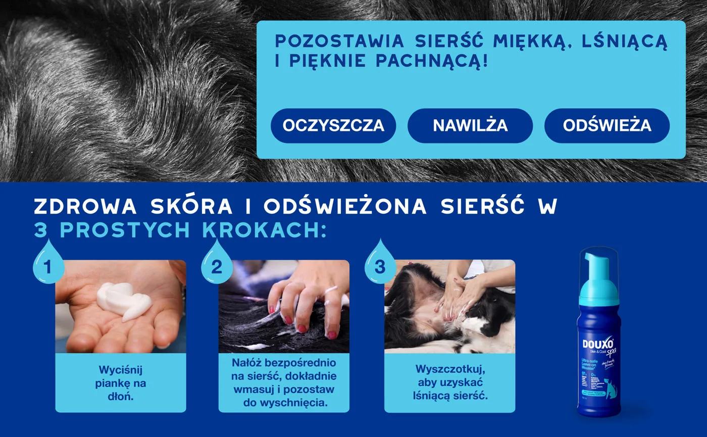 DOUXO Skin & Coat SPA Dog Mousse 150ml ultrabezpieczna pianka odświeżająca bez spłukiwania dla psów