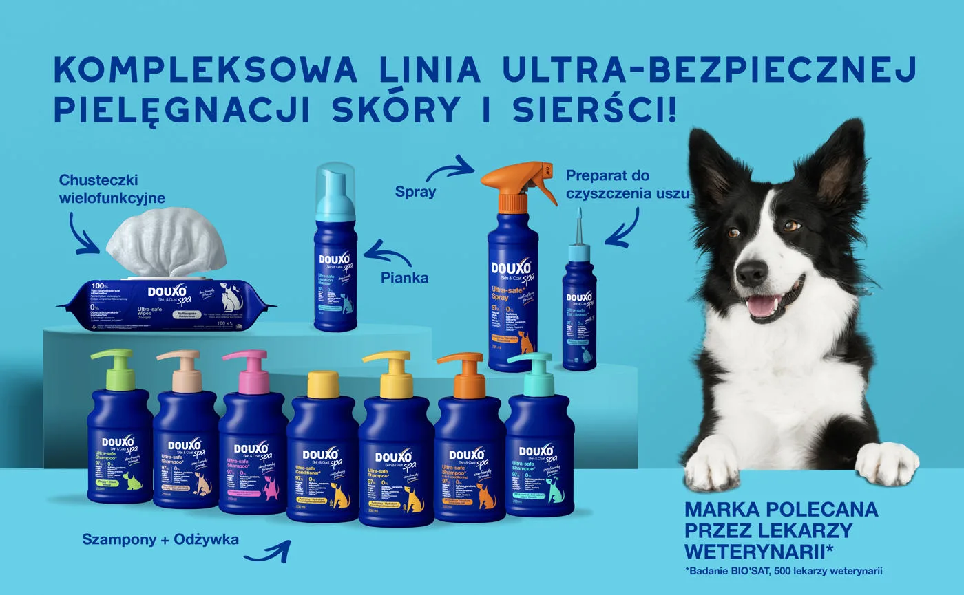 DOUXO Skin & Coat SPA Dog Mousse 150ml ultrabezpieczna pianka odświeżająca bez spłukiwania dla psów
